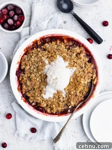 Cranberry apple crisp with a scoop of melting ice cream on a light blue striped towel. Plates, a bowl of frozen cranberries, and ice cream scoop and a white bowl are nearby.
