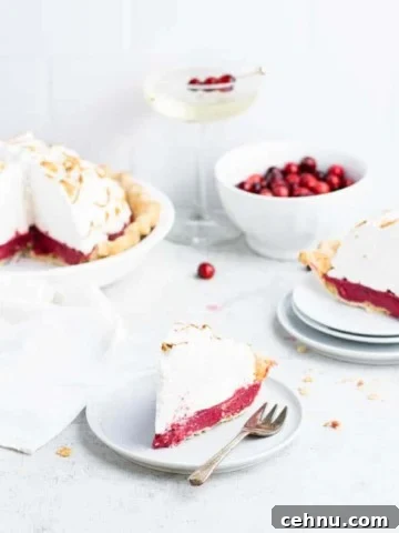 Close up of a slice of cranberry pie showing the bright red curd filling and the toasted meringue topping.