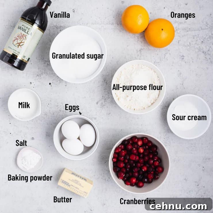 Overhead view of labeled ingredients for the cranberry orange cake.