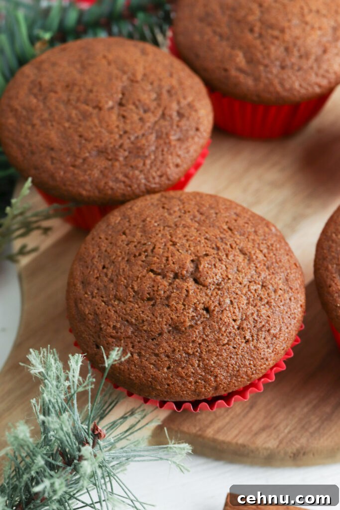 Gingerbread muffins on a plate