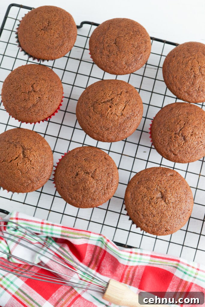 Muffins arranged for a gathering