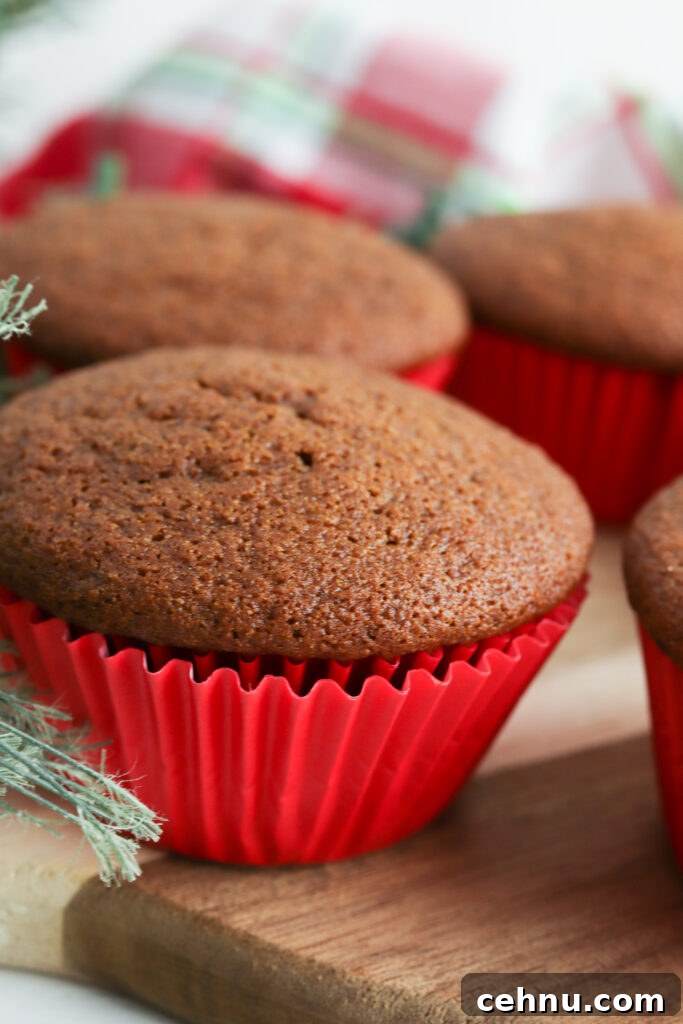 Holiday serving of muffins