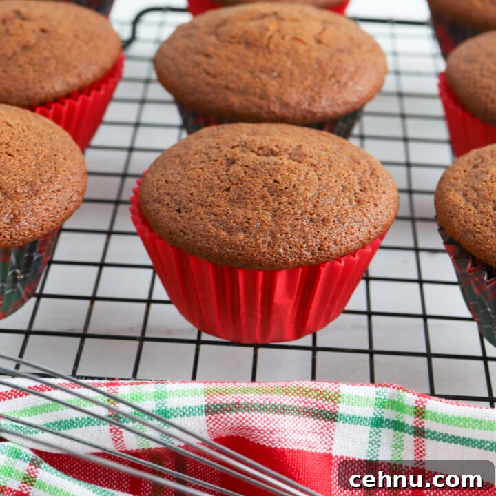Gingerbread Muffins