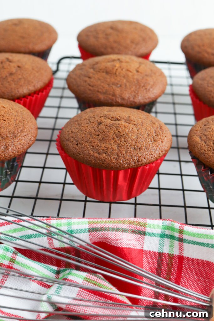 Close-up of gingerbread muffin