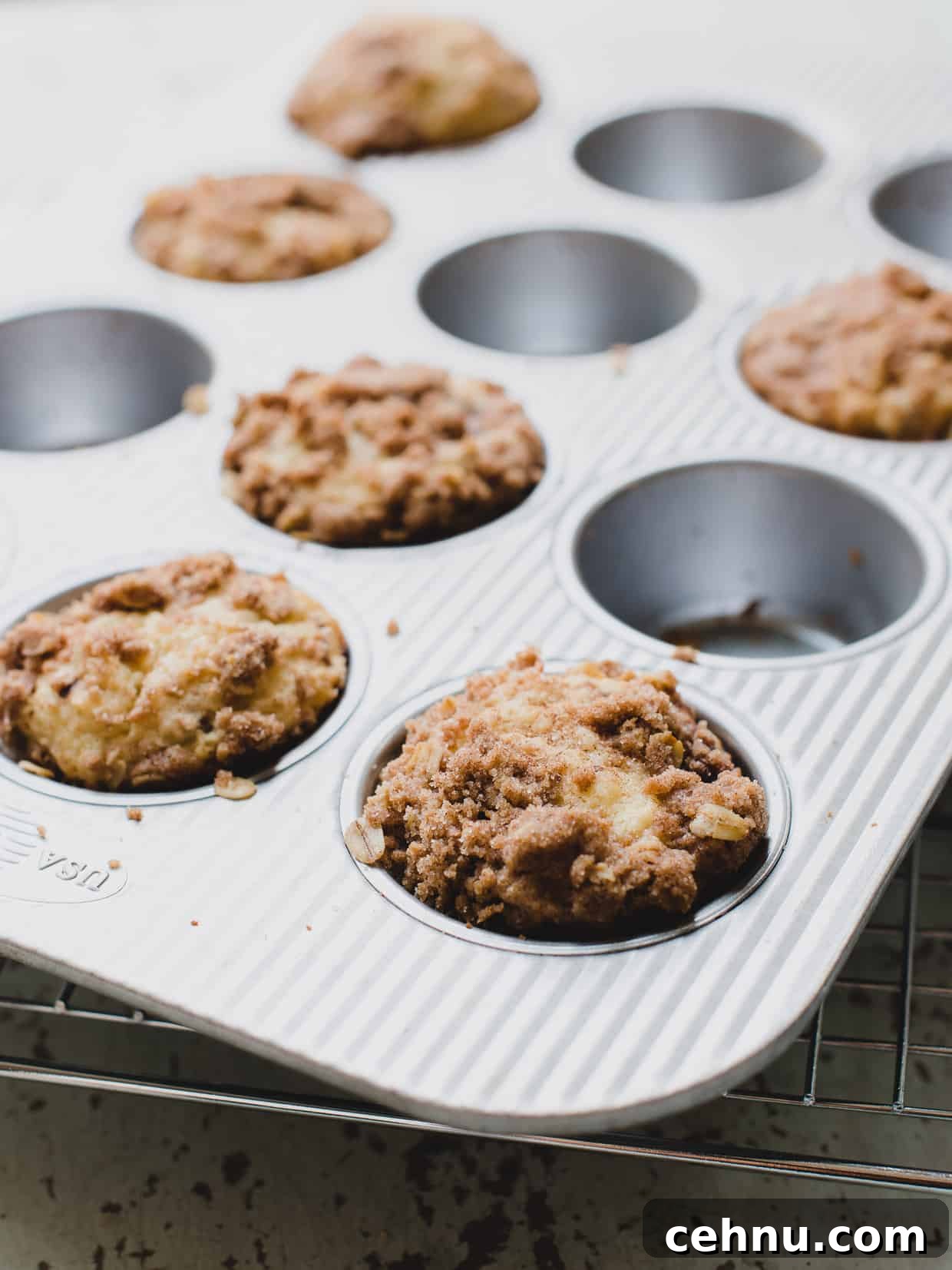Moist Blackberry Yogurt Muffins with Lemon Zest 5 Muffin tin filled with streusel-topped Blackberry Yogurt Muffins fresh out of the oven.