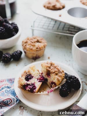 Moist Blackberry Yogurt Muffins with Lemon Zest 6 blackberry yogurt muffins cut in half on plate