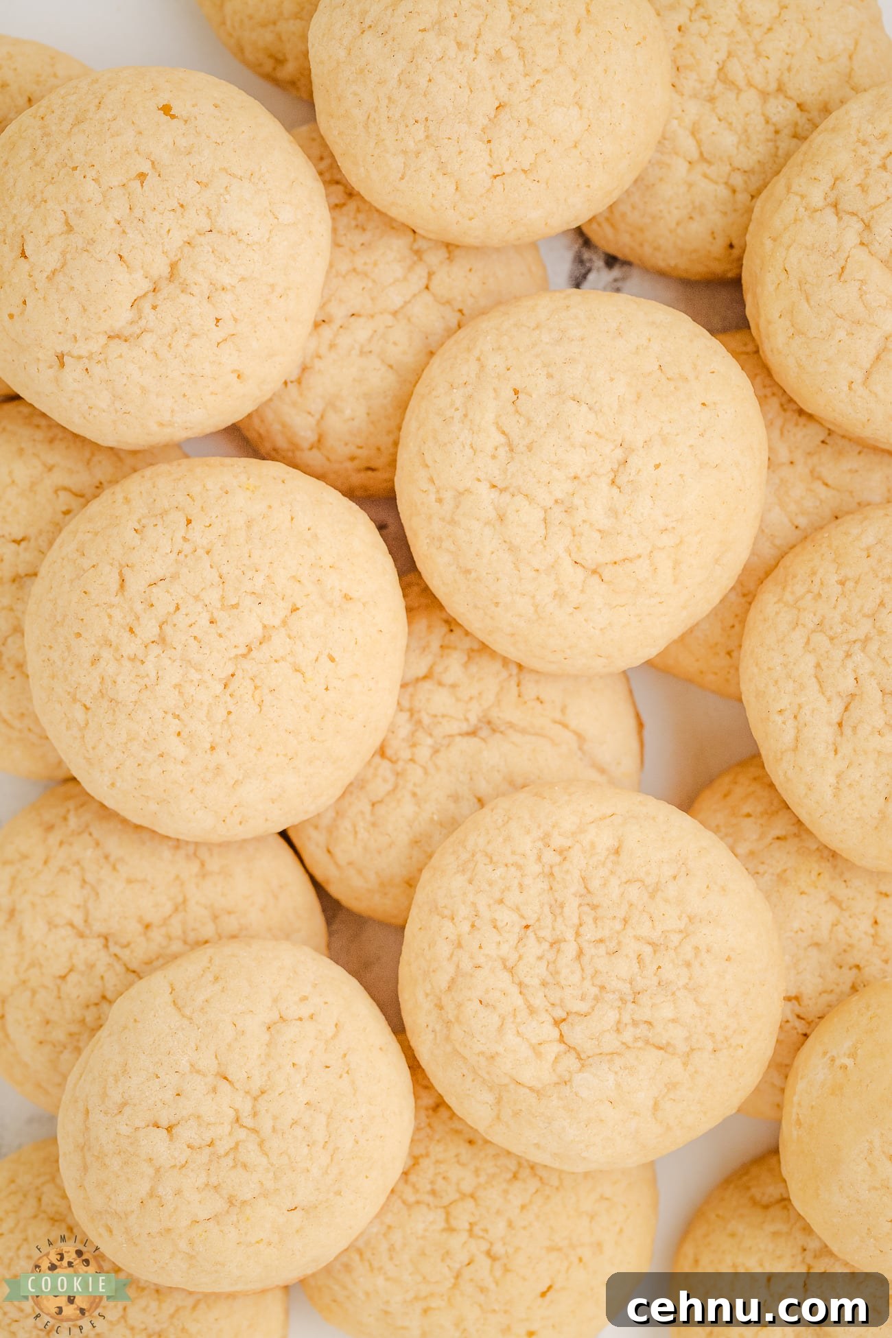 Copycat Nilla Wafers Recipe: Homemade Vanilla Wafers 2 copycat Nilla wafer cookies