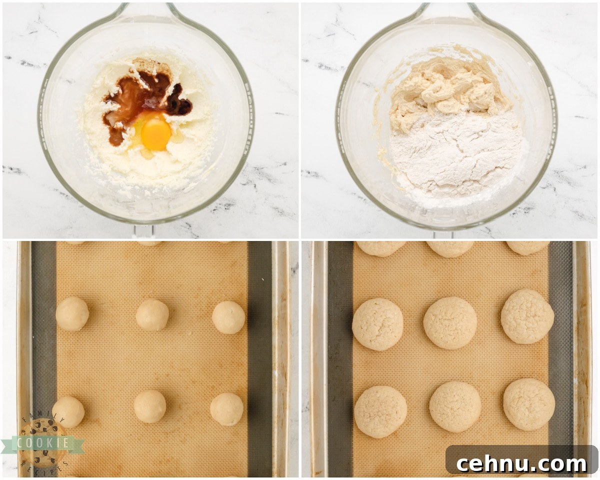 Copycat Nilla Wafers Recipe: Homemade Vanilla Wafers 4 how to make copycat Nilla wafer cookies