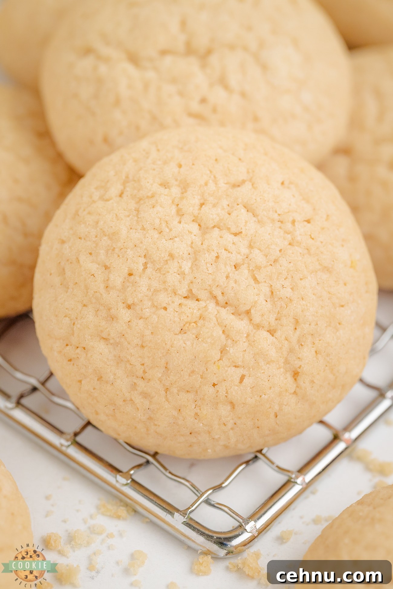 Copycat Nilla Wafers Recipe: Homemade Vanilla Wafers 5 Homemade Nilla wafer cookie on a cooling rack