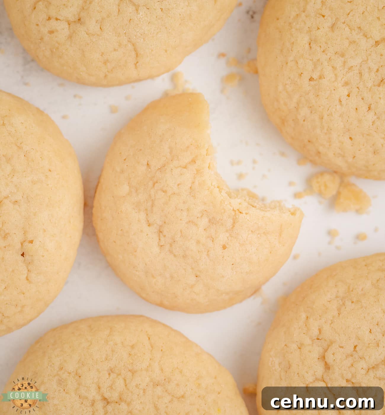 Copycat Nilla Wafers Recipe: Homemade Vanilla Wafers 6 homemade Nilla wafer copycats with a bite taken out of one