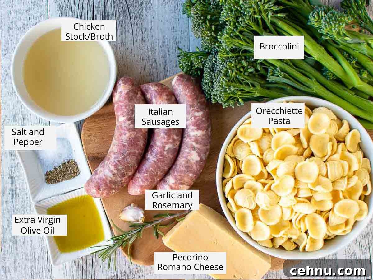 Italian Sausage and Broccolini Pasta 3 Ingredients for this recipe viewed from above.