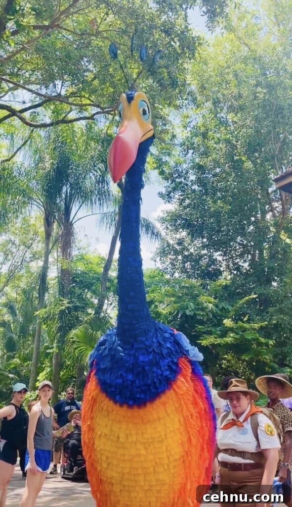 Kevin character experience at Disney's Animal Kingdom
