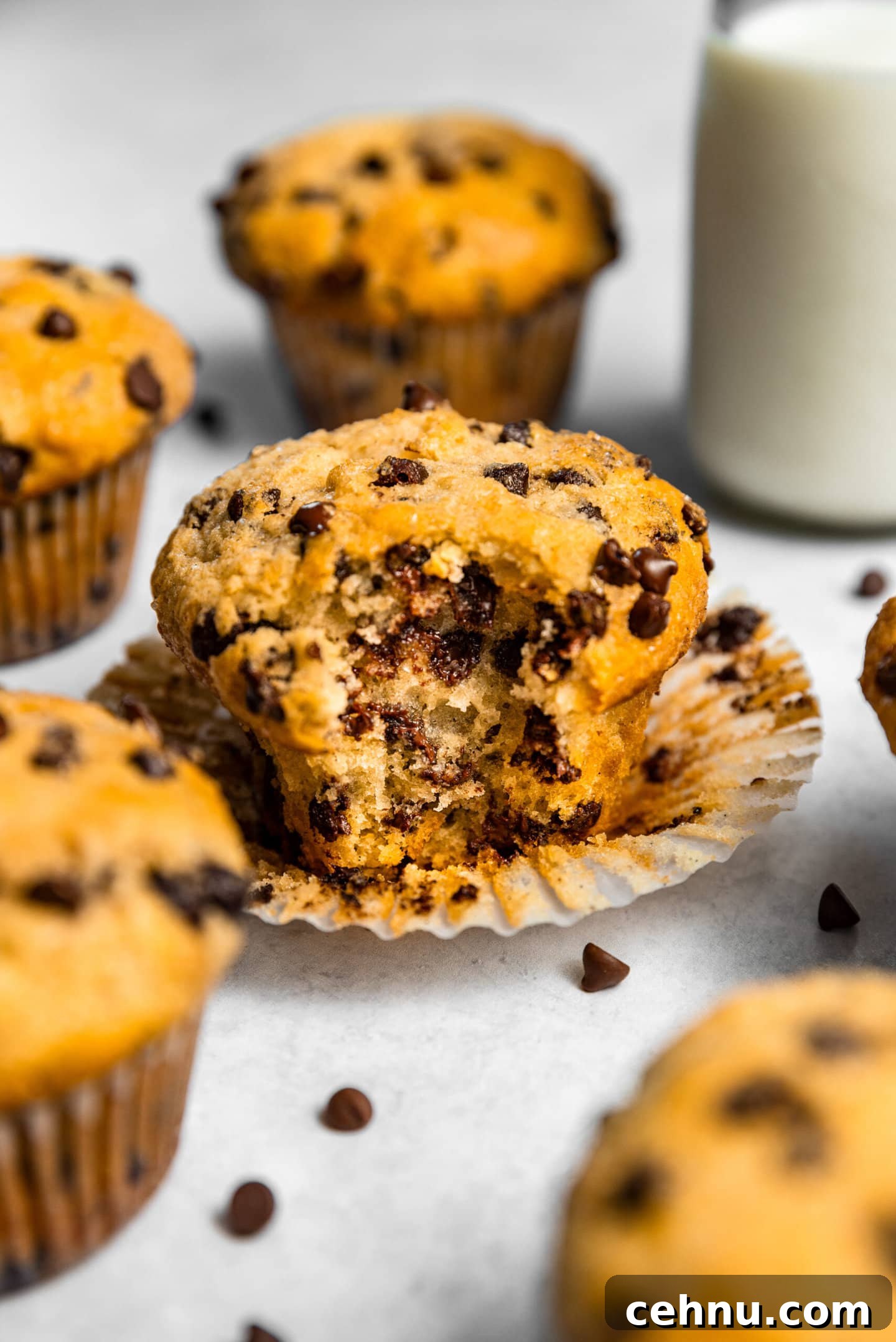 Chocolate Chip Muffins with Sour Cream (Small Batch) 2 Close up of Small Batch Chocolate Chip Muffin with a bite taken out of it next to a glass of milk