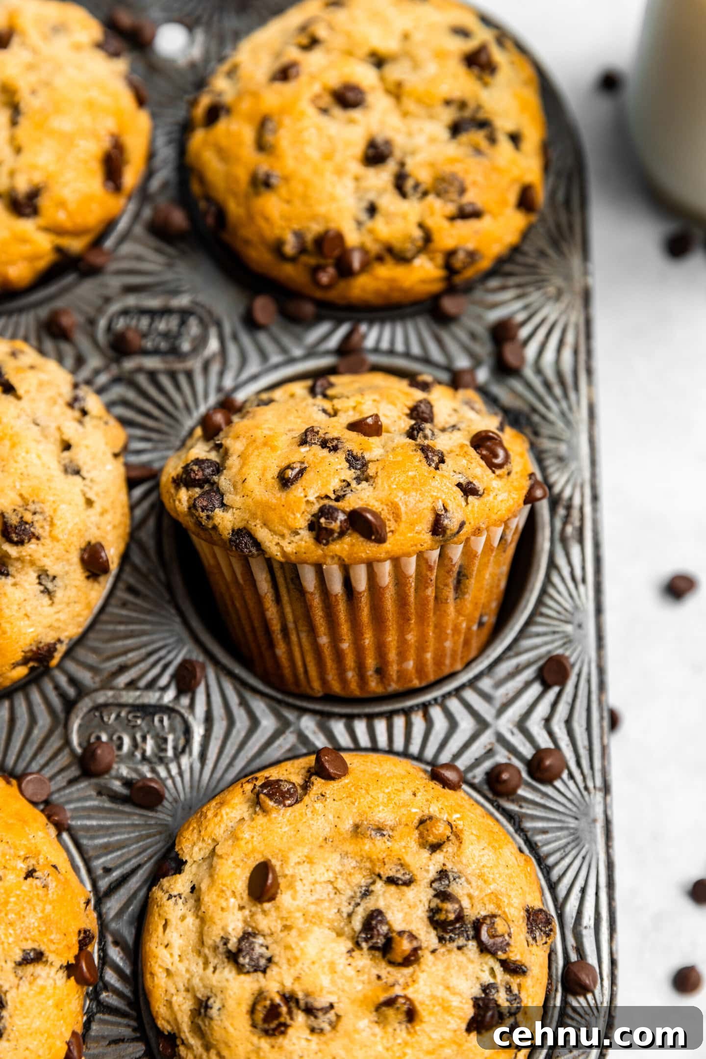 Chocolate Chip Muffins with Sour Cream (Small Batch) 11 Small Batch Chocolate Chip Muffins with Sour Cream in a muffin pan surrounded by mini chocolate chips.