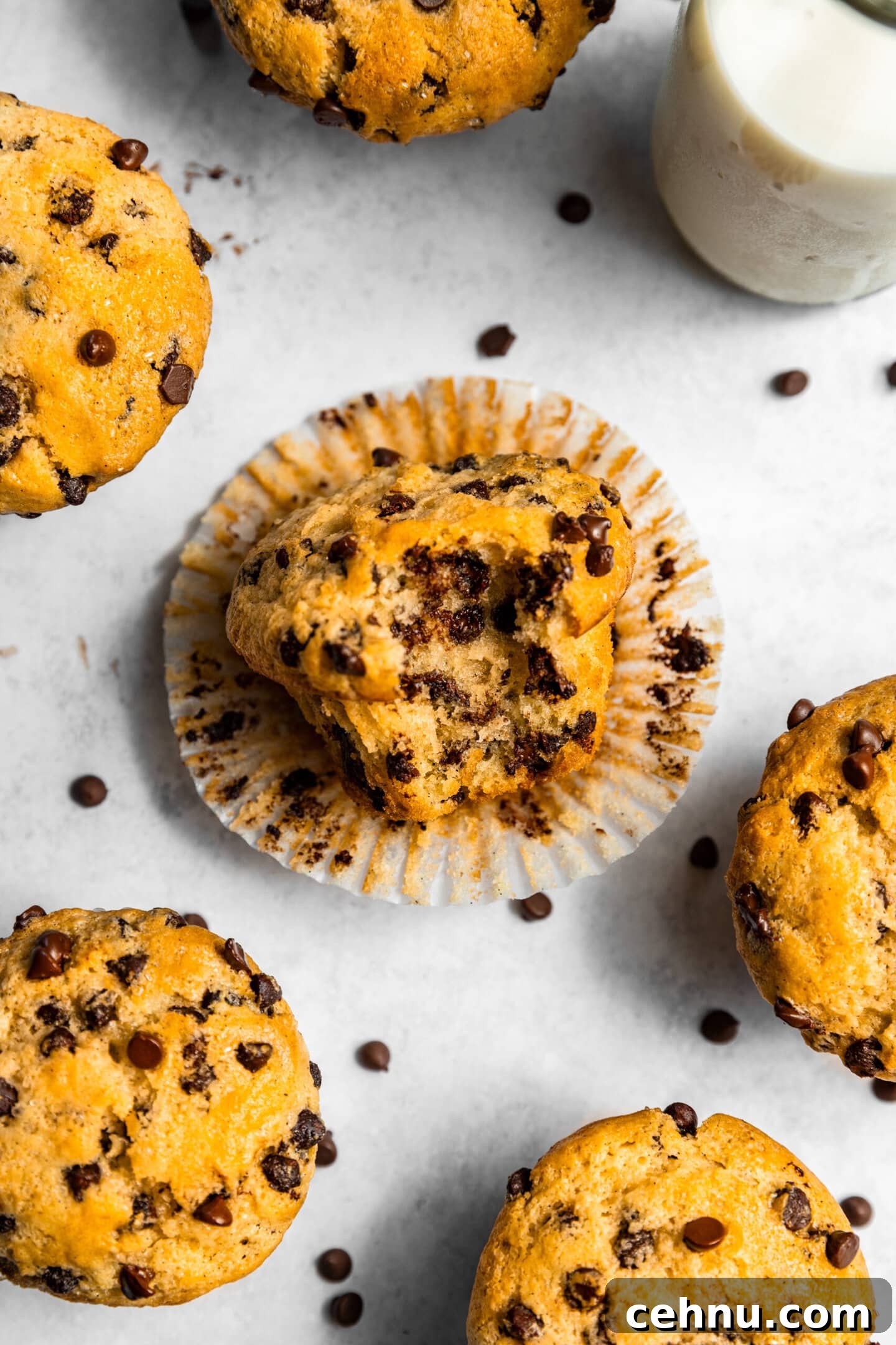 Chocolate Chip Muffins with Sour Cream (Small Batch) 12 Close up of chocolate chip muffin on its side with a bite missing showing melted chocolate chips inside.