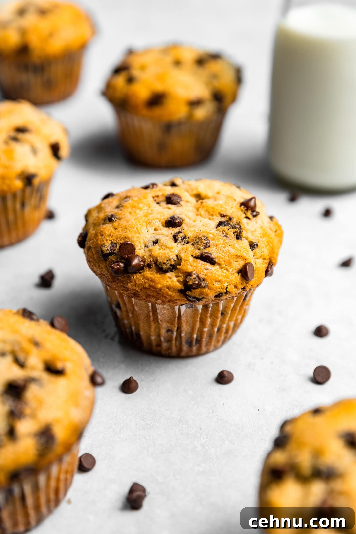Chocolate Chip Muffins with Sour Cream (Small Batch) 3 Small Batch Chocolate Chip Muffins with Sour Cream next to a glass of milk and scattered mini chocolate chips