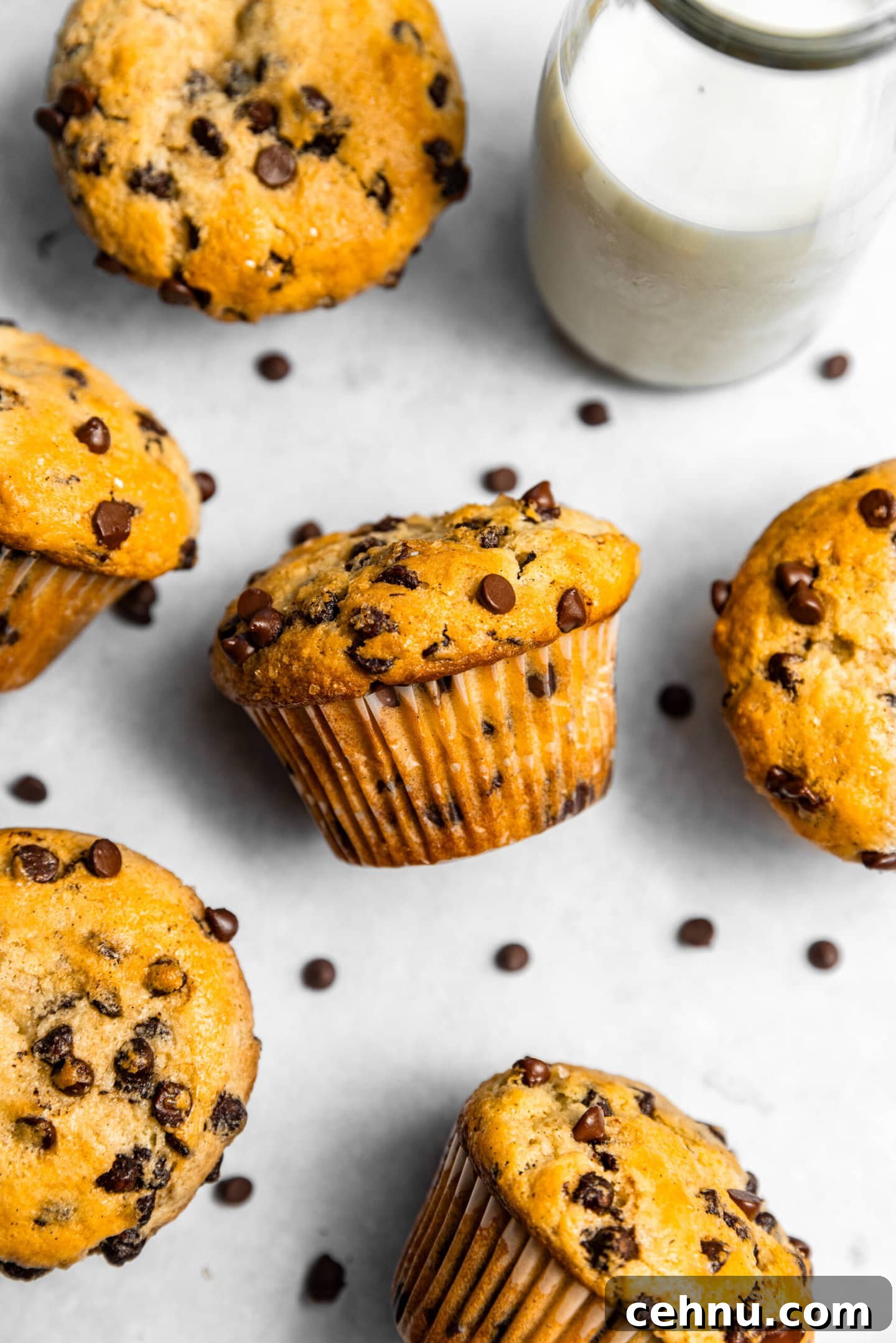 Chocolate Chip Muffins with Sour Cream (Small Batch) 4 Small Batch Chocolate Chip Muffins with Sour Cream scattered next to a glass of milk.