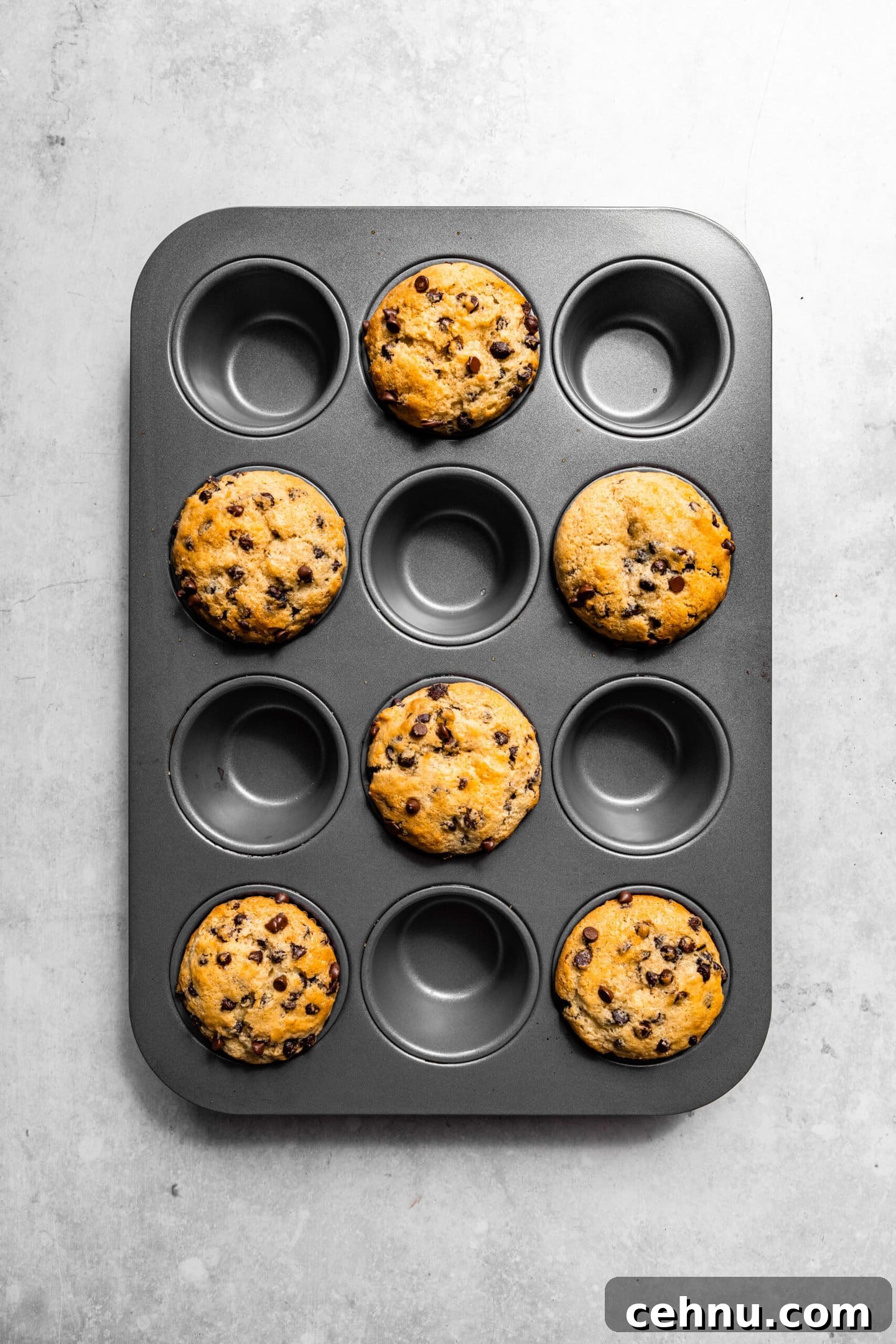 Chocolate Chip Muffins with Sour Cream (Small Batch) 10 Freshly baked chocolate chip muffins with sour cream sitting in muffin pan