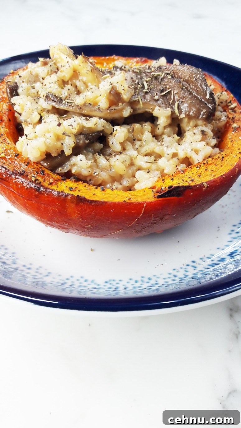 Roasted Pumpkin and Mushroom Bowls with Brown Rice 3 Roasted pumpkin halves filled with rice and mushrooms