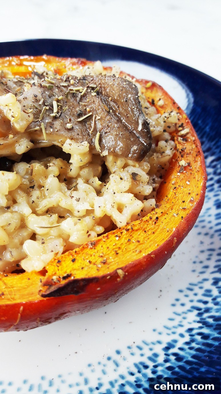 Roasted Pumpkin and Mushroom Bowls with Brown Rice 4 Stuffed pumpkin bowls close-up