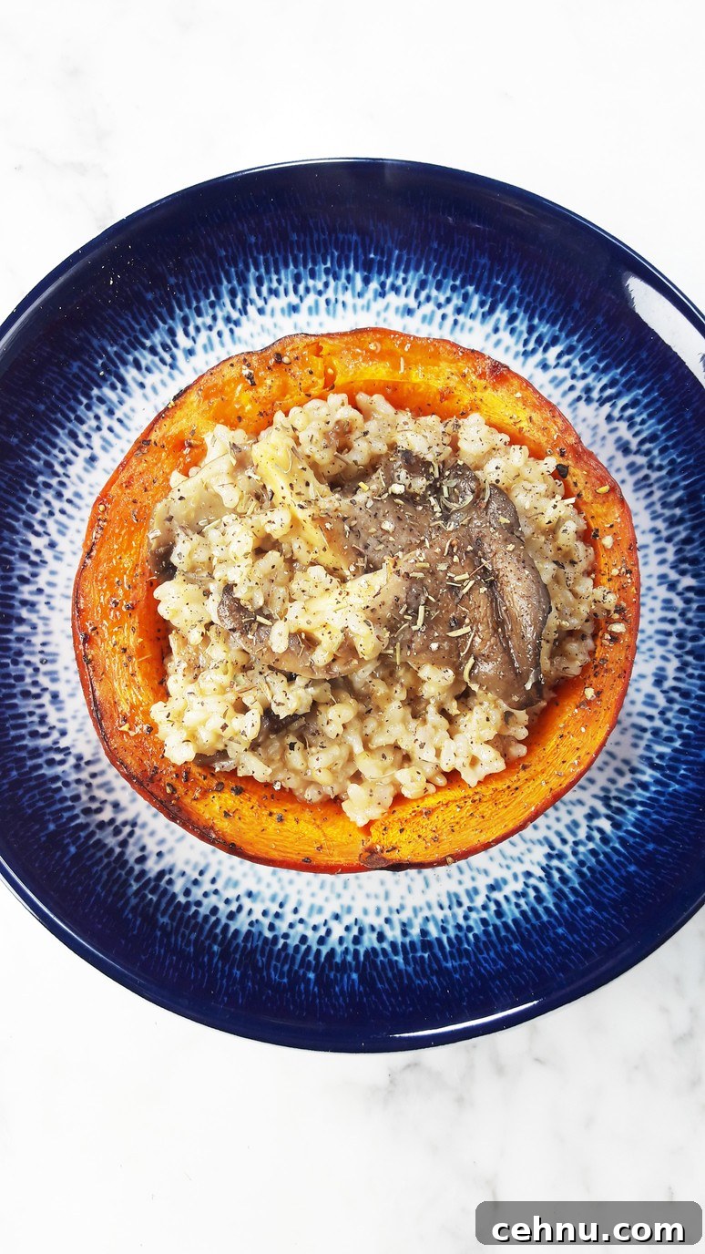Roasted Pumpkin and Mushroom Bowls with Brown Rice 6 Final pumpkin mushroom bowls filled with rice
