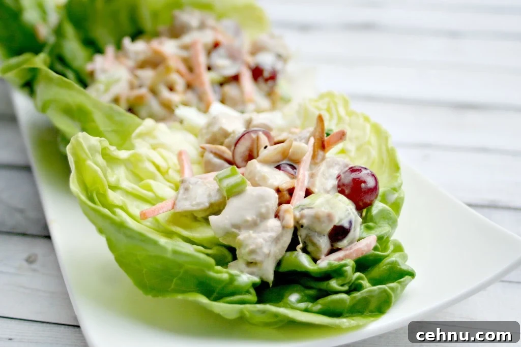 Soy Citrus Chicken Salad Lettuce Wraps on a plate