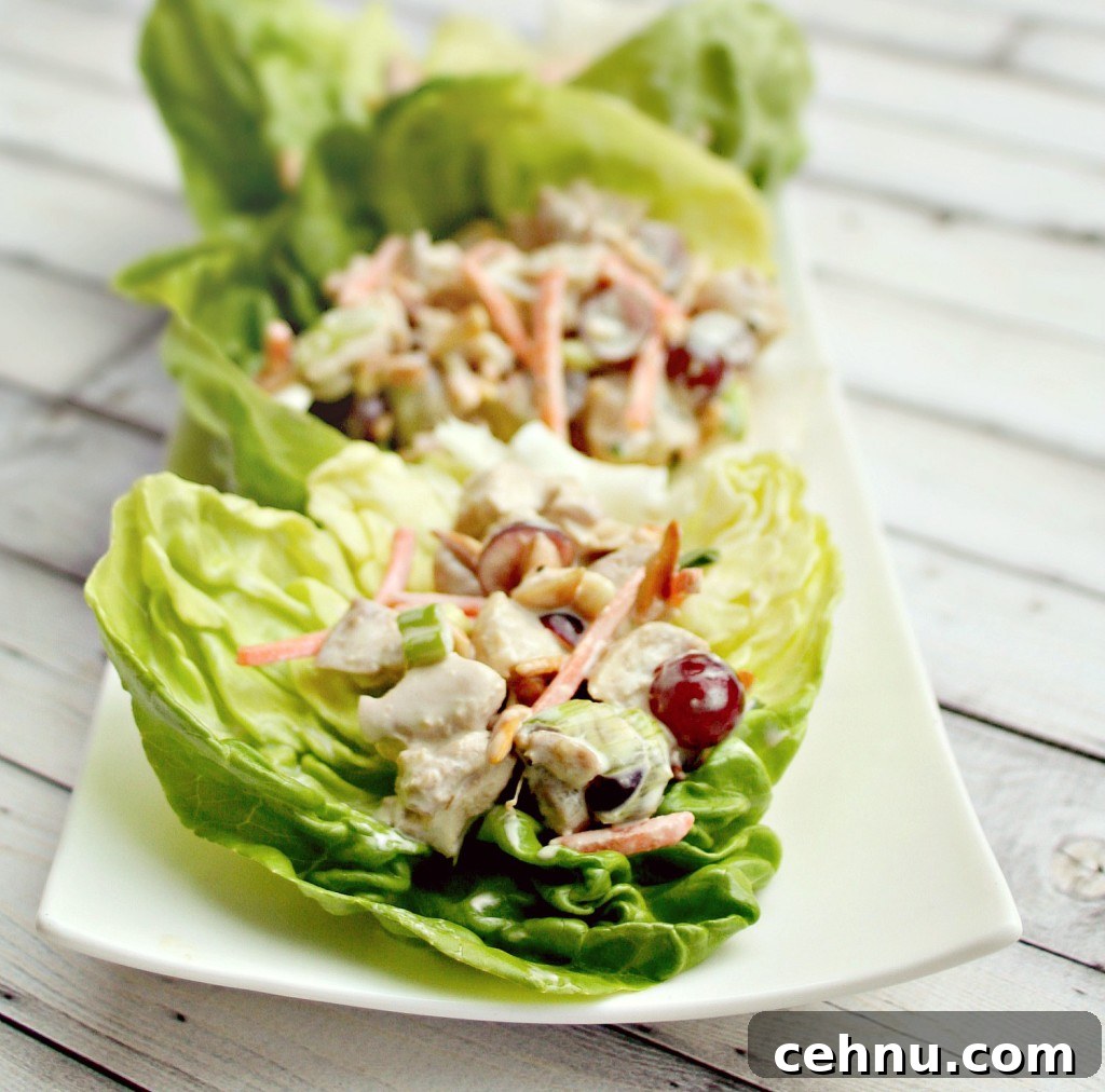 Chicken salad being spooned into Bibb lettuce leaves