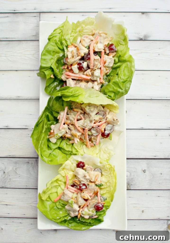 Close-up of Soy Citrus Chicken Salad Lettuce Wrap