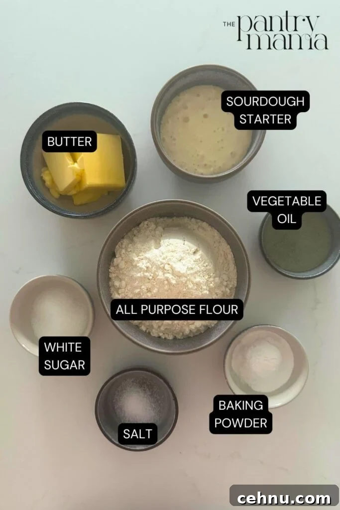How to Make Sourdough Ritz-Style Crackers 3 Flatlay of ingredients necessary to make sourdough Ritz crackers.
