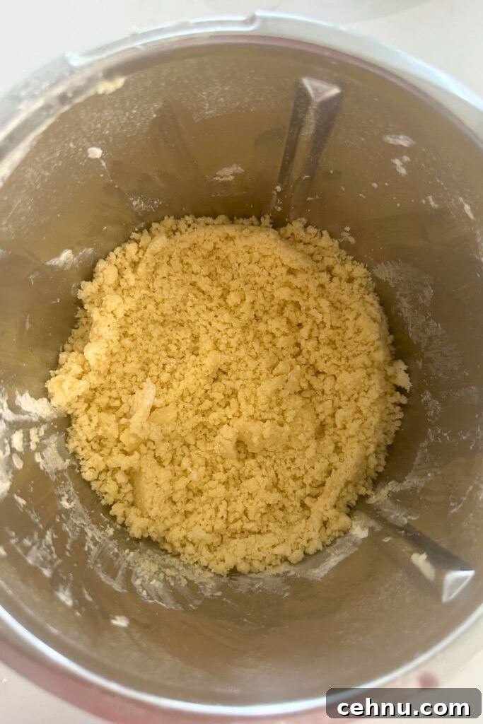 How to Make Sourdough Ritz-Style Crackers 4 A batch of sourdough Ritz cracker dough in a food processor (Thermomix) jug.