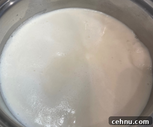 Mixing evaporated milk and coconut milk