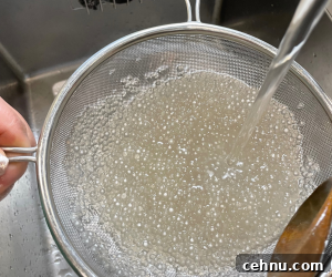Cooked mini tapioca pearls (sago)