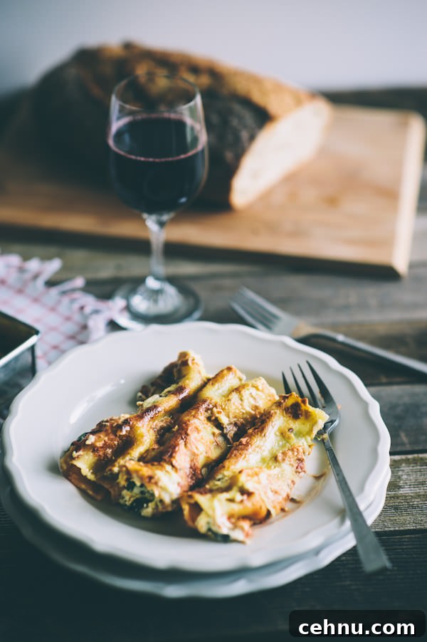 Creamy Spinach and Ricotta Cannelloni Recipe 3 spinach and ricotta cannelloni