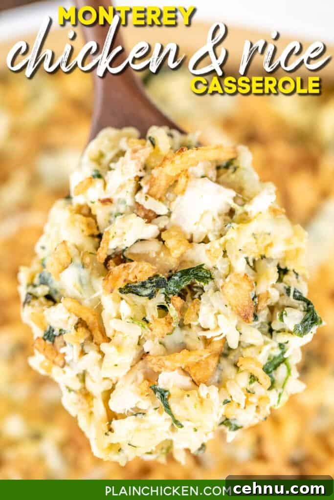 Spoonful of chicken, spinach and rice casserole