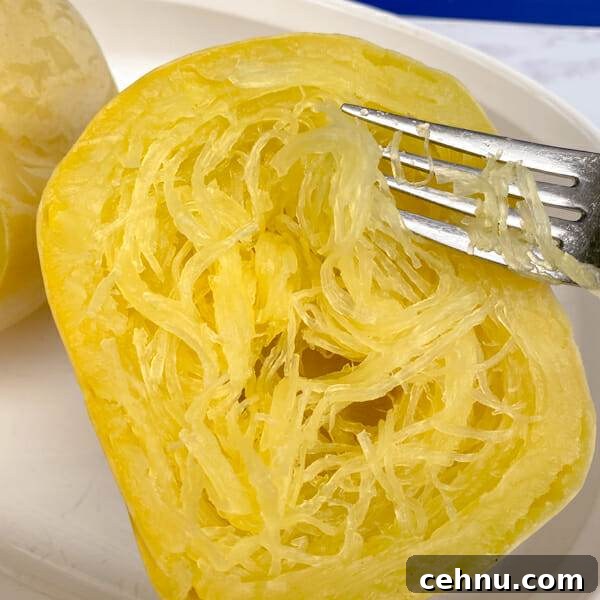Fork lifting spaghetti squash strands