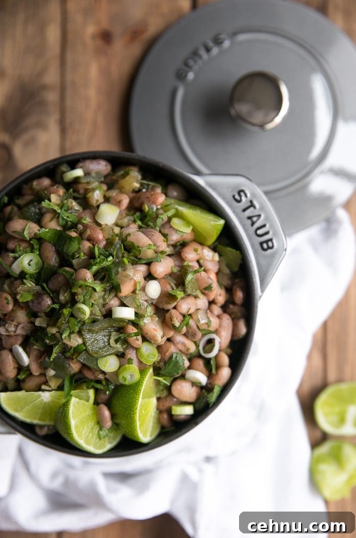 A fun and flavorful twist on boring bland beans, these easy Drunken Beans with Poblanos taste fantastic eaten alone or paired with all your favorite Mexican dishes.