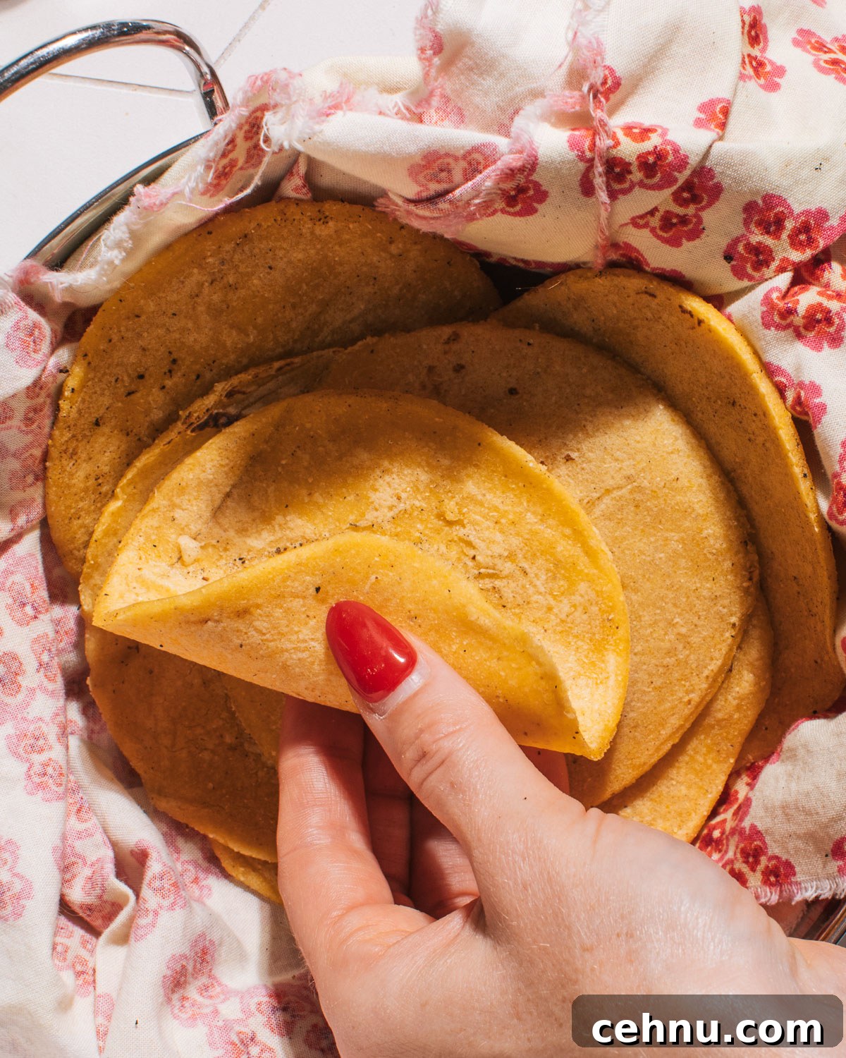 Homemade Corn Tortillas in hand