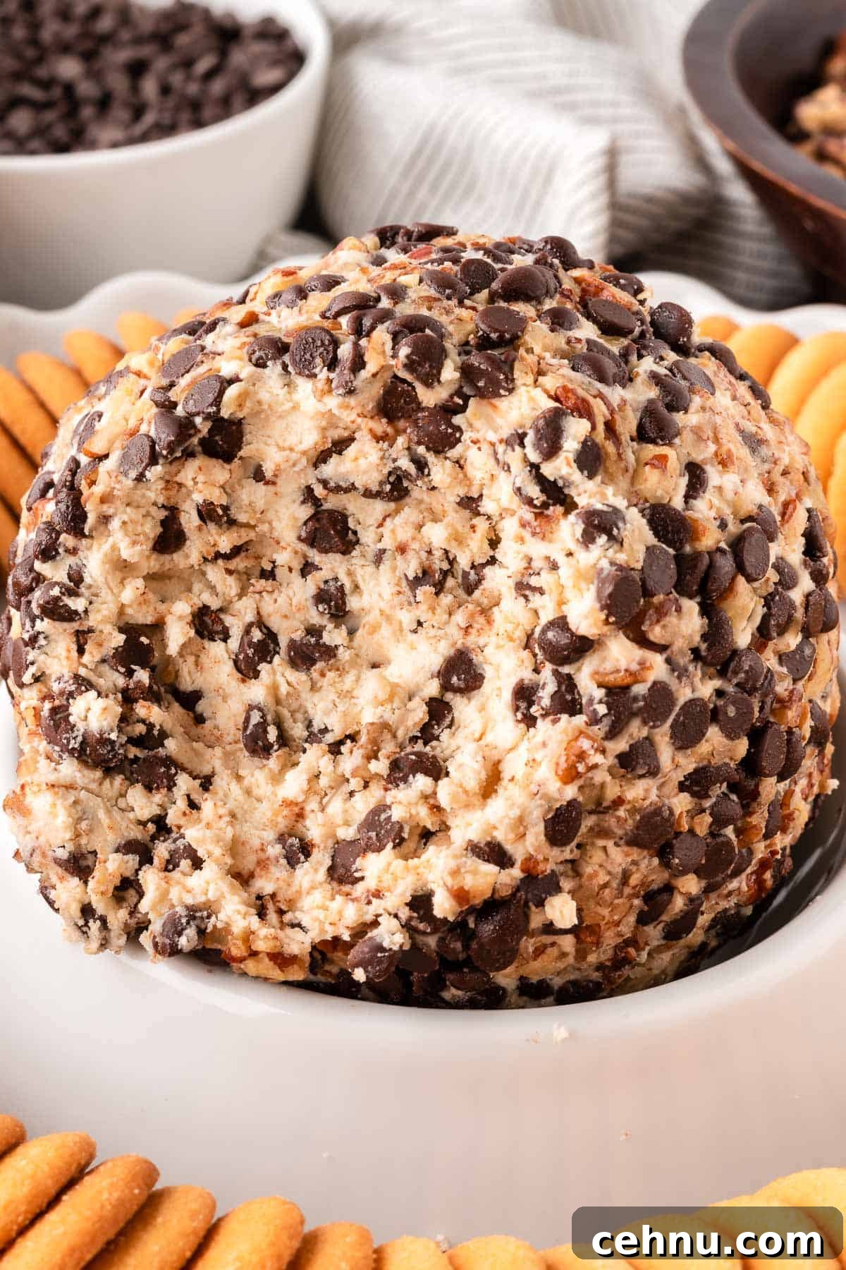 chocolate chip cheese ball with nilla wafers