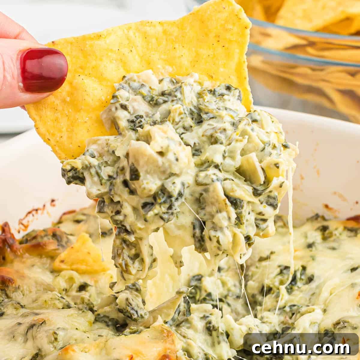 tortilla chip dipped in baked spinach artichoke dip