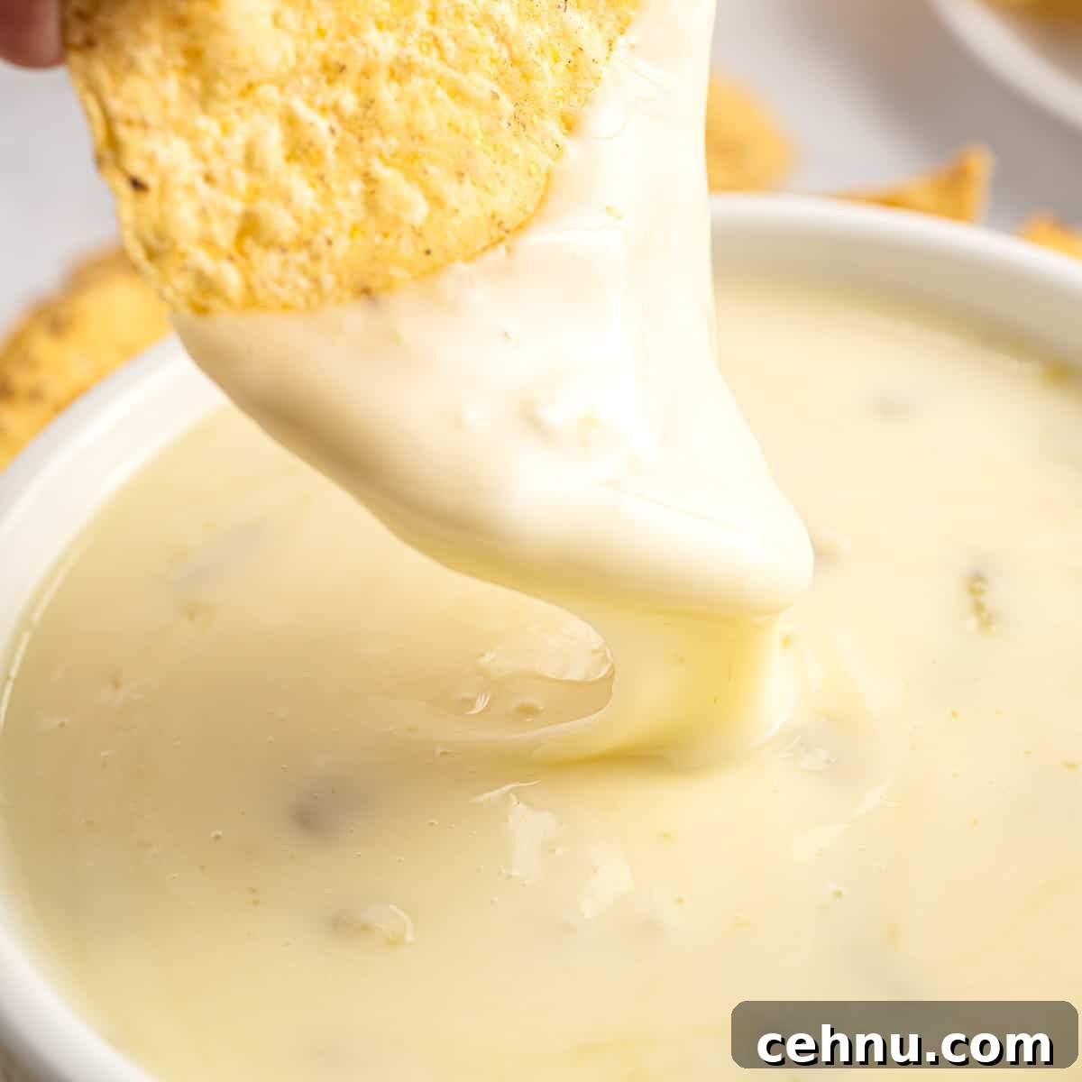 queso blanco dip