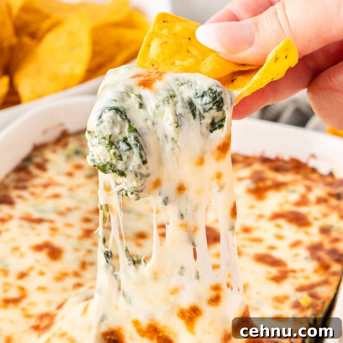 dipping a chip into spinach dip