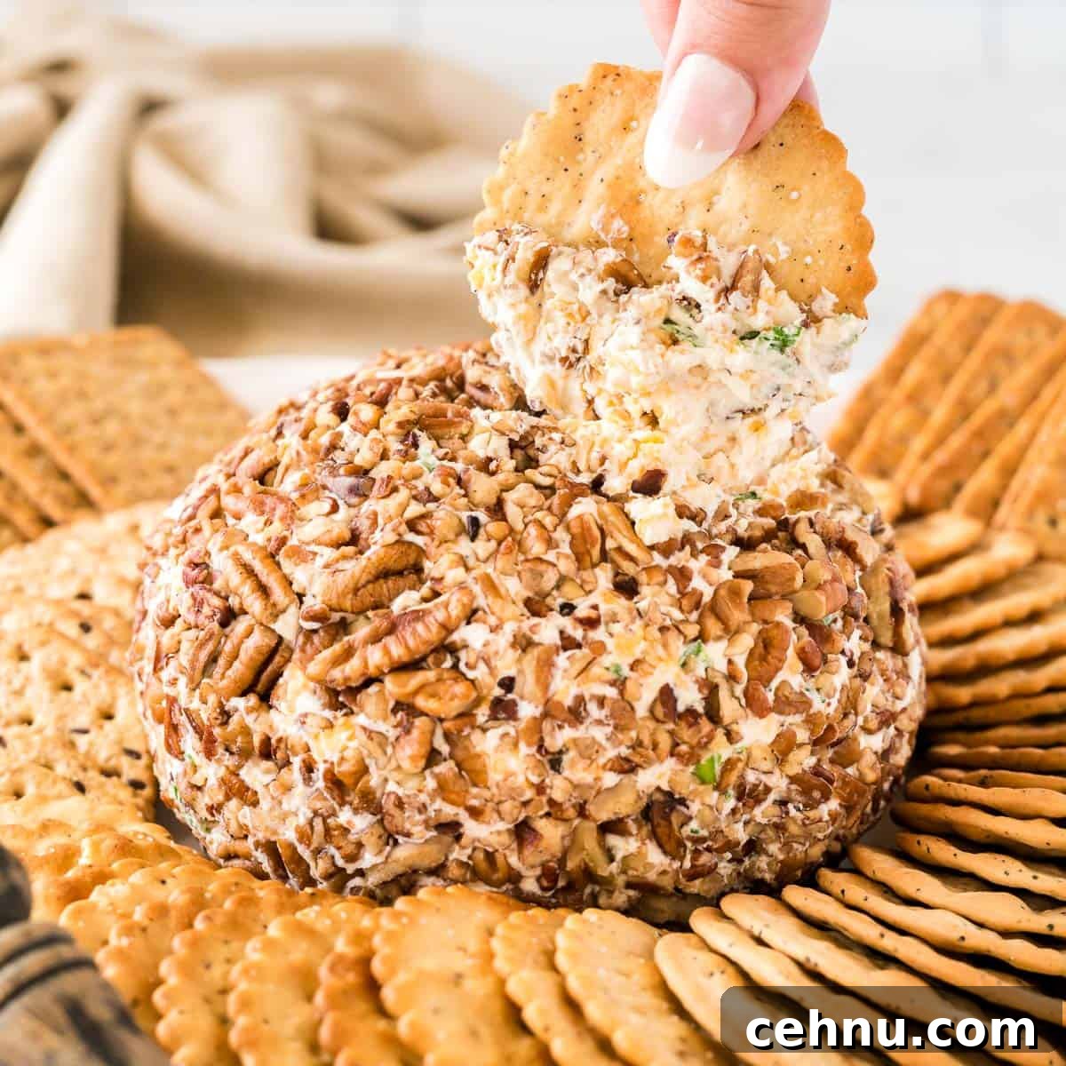 cheese ball surrounded by crackers