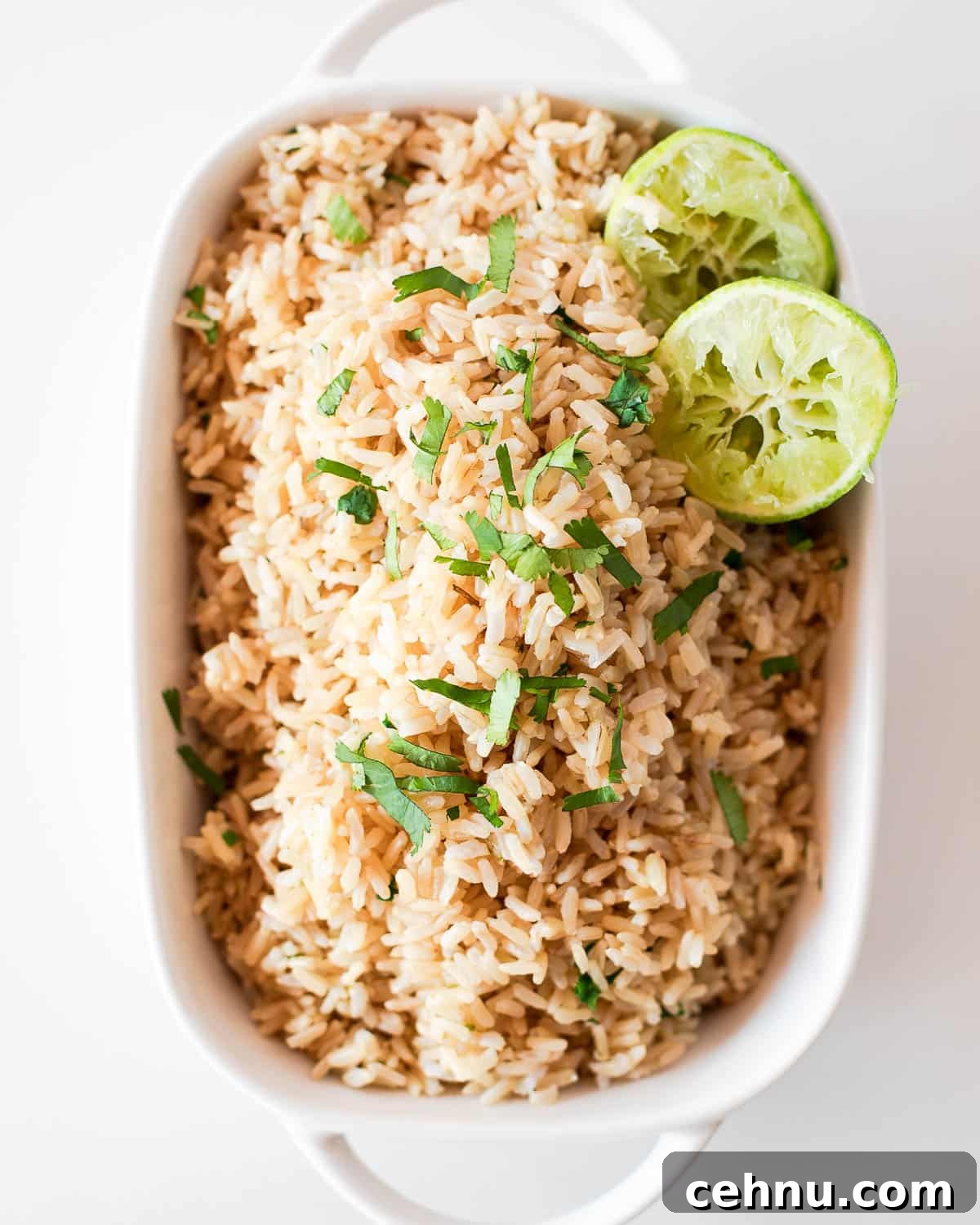Instant Pot Cilantro Brown Rice