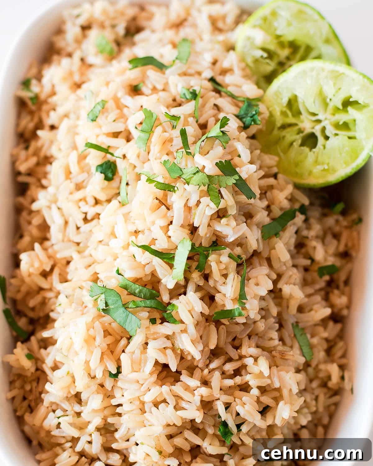 brown rice instant pot