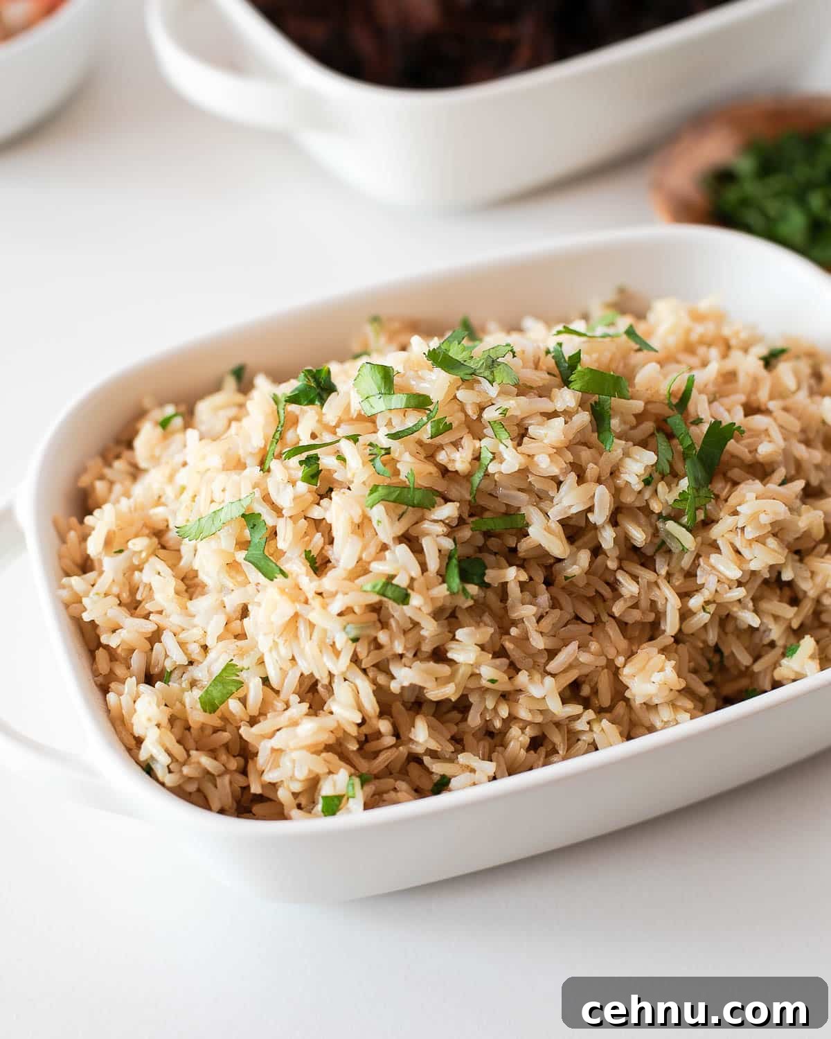 Instant Pot Cilantro Brown Rice