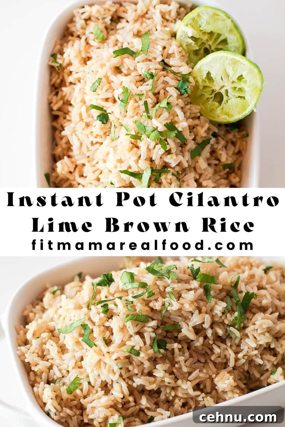 Instant Pot Cilantro Brown Rice