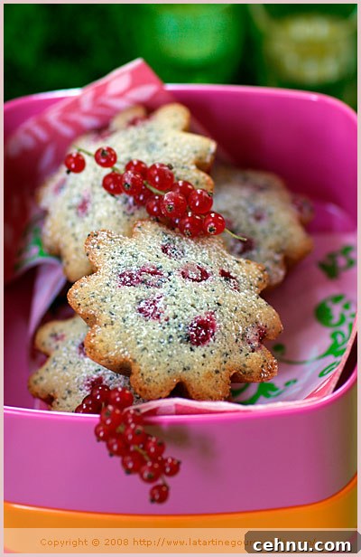 A Slice of Spring: Springtime Inspiration 2 red currant teacakes almond poppyseed lemongrass vanilla
