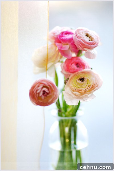A Slice of Spring: Springtime Inspiration 4 img 4552 3