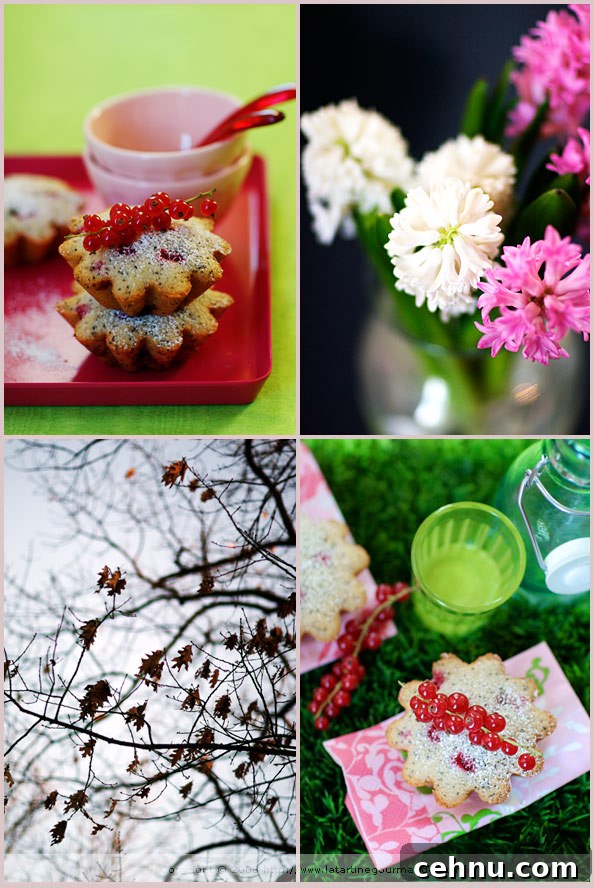 A Slice of Spring: Springtime Inspiration 6 red currant teacakes almond poppyseed lemongrass vanilla