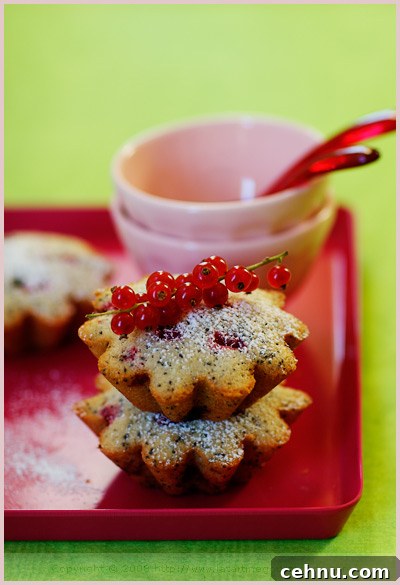 A Slice of Spring: Springtime Inspiration 7 lemongrass poppy seeds red currant teacake almond